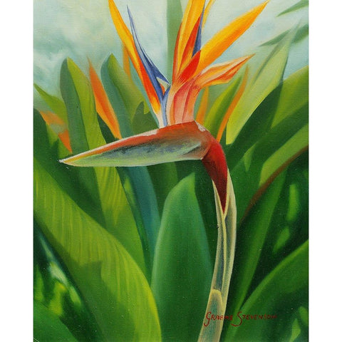 Paradise 2 Black Modern Wood Framed Art Print with Double Matting by Stevenson, Graeme