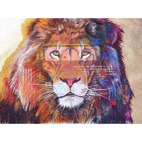 Rainbow Majesty White Modern Wood Framed Art Print by Stevenson, Graeme