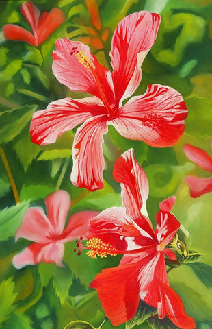 Red Hibiscus 3 Black Ornate Wood Framed Art Print with Double Matting by Stevenson, Graeme