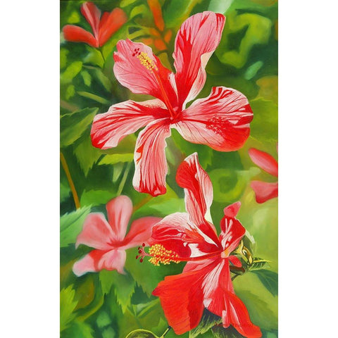Red Hibiscus 3 White Modern Wood Framed Art Print by Stevenson, Graeme