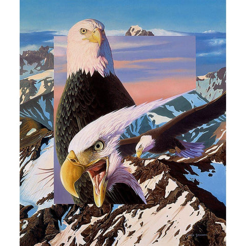 Screaming Eagles White Modern Wood Framed Art Print by Stevenson, Graeme