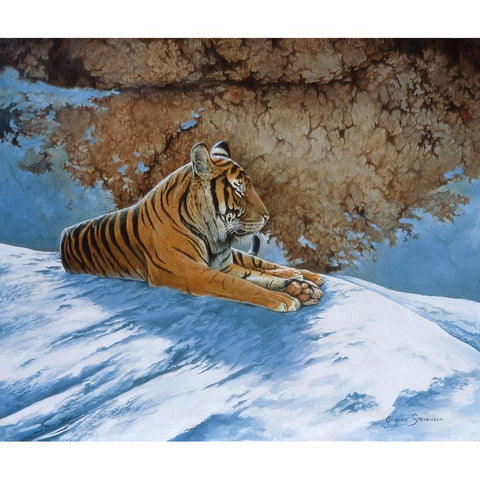 Snow Break White Modern Wood Framed Art Print by Stevenson, Graeme