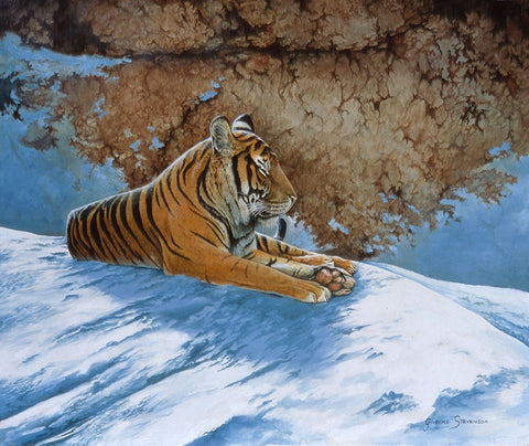 Snow Break White Modern Wood Framed Art Print with Double Matting by Stevenson, Graeme