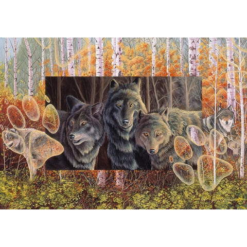 Step Lightly Black Modern Wood Framed Art Print with Double Matting by Stevenson, Graeme