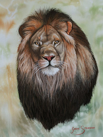 The King White Modern Wood Framed Art Print with Double Matting by Stevenson, Graeme