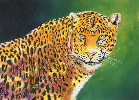 The Stare White Modern Wood Framed Art Print with Double Matting by Stevenson, Graeme