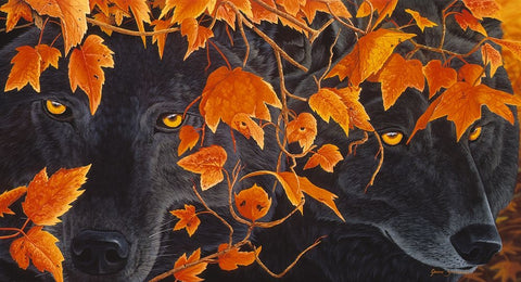 Three Wolves Black Ornate Wood Framed Art Print with Double Matting by Stevenson, Graeme
