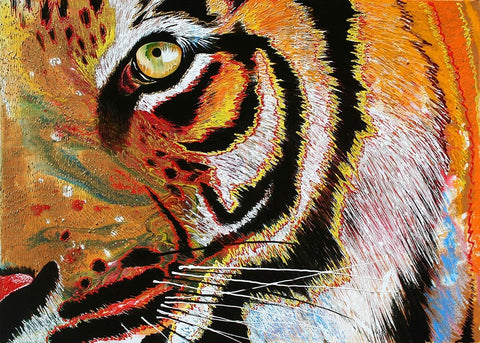 Tiger Burning Bright Black Ornate Wood Framed Art Print with Double Matting by Stevenson, Graeme