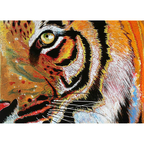 Tiger Burning Bright Black Modern Wood Framed Art Print by Stevenson, Graeme