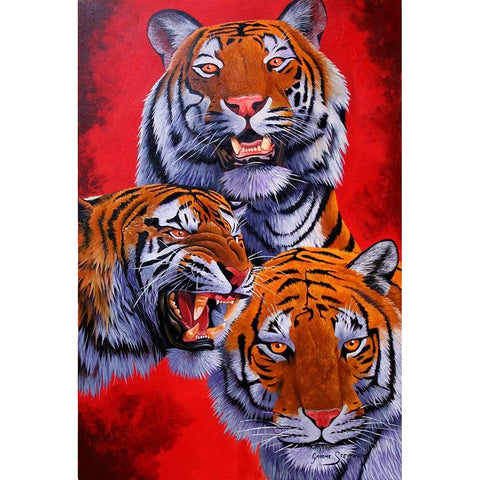 Tigers Black Modern Wood Framed Art Print by Stevenson, Graeme