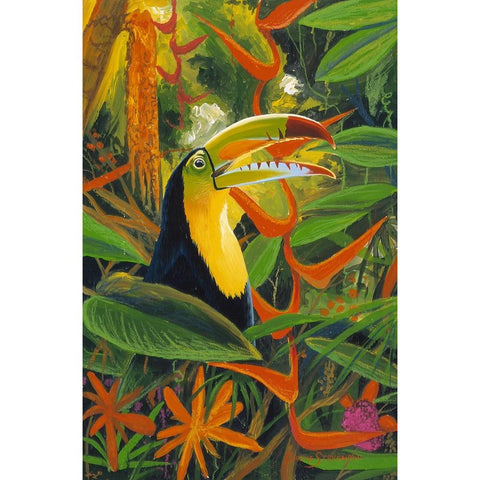 Toucan Colors White Modern Wood Framed Art Print by Stevenson, Graeme