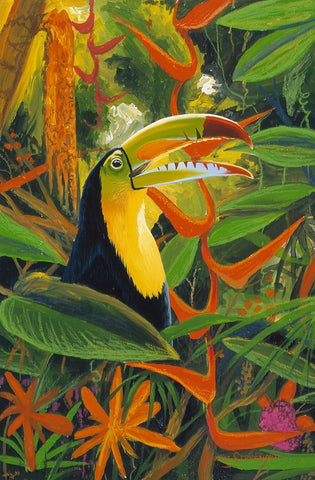 Toucan Colors Black Ornate Wood Framed Art Print with Double Matting by Stevenson, Graeme