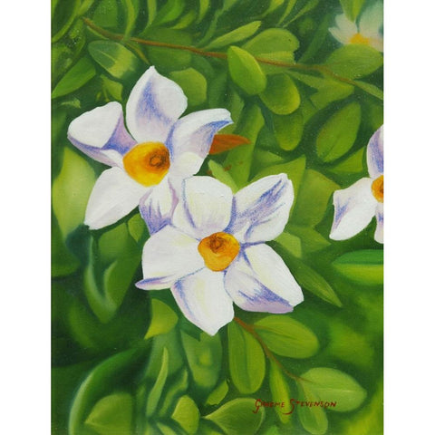 White Flower White Modern Wood Framed Art Print by Stevenson, Graeme