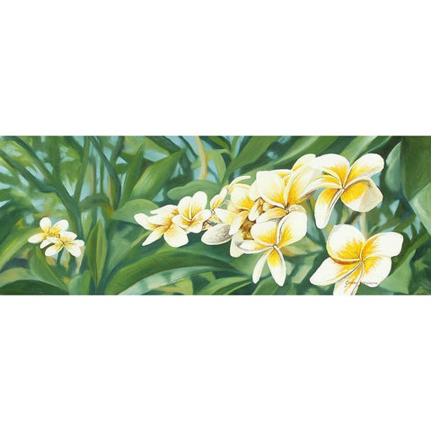 White Fran Black Modern Wood Framed Art Print with Double Matting by Stevenson, Graeme