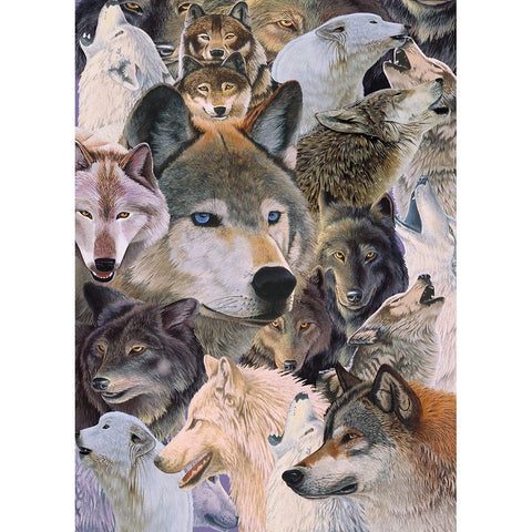 Wolves Alive Black Modern Wood Framed Art Print with Double Matting by Stevenson, Graeme