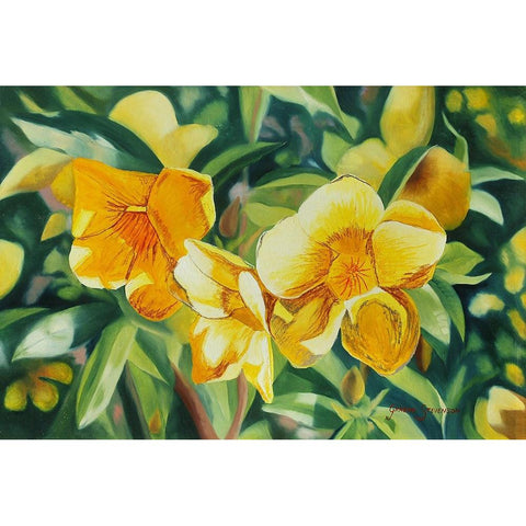 Yellow Bloom White Modern Wood Framed Art Print by Stevenson, Graeme