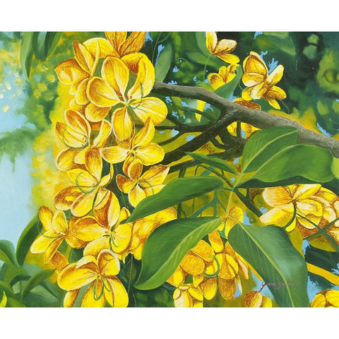 Yellow Flower Black Modern Wood Framed Art Print by Stevenson, Graeme