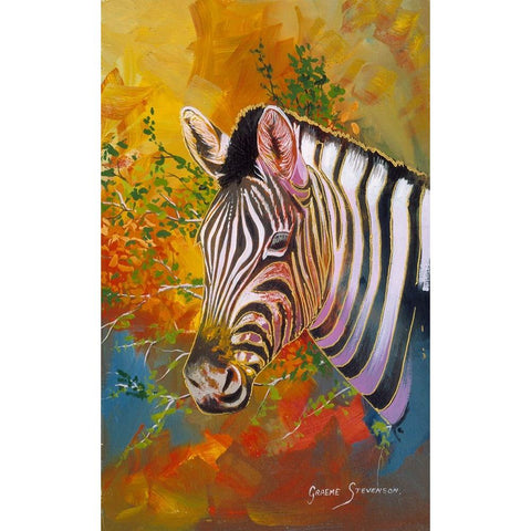 Zebra Days Black Modern Wood Framed Art Print with Double Matting by Stevenson, Graeme