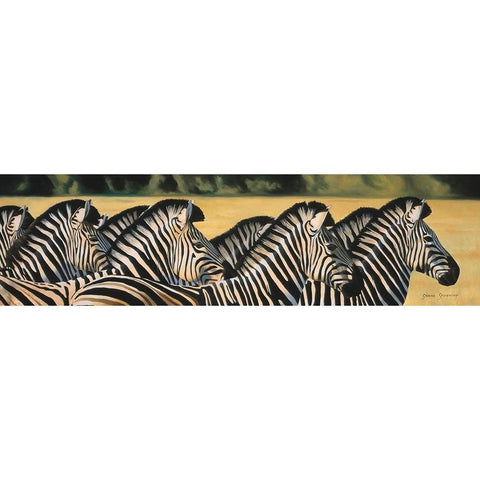 Zebras Black Modern Wood Framed Art Print with Double Matting by Stevenson, Graeme