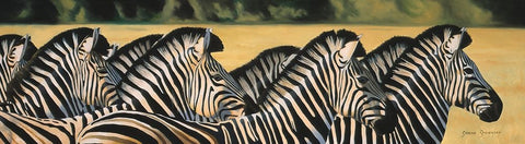 Zebras Black Ornate Wood Framed Art Print with Double Matting by Stevenson, Graeme