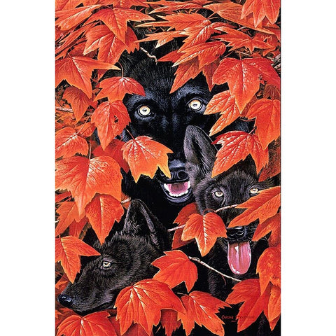 Wolves of the Fall Black Modern Wood Framed Art Print with Double Matting by Stevenson, Graeme