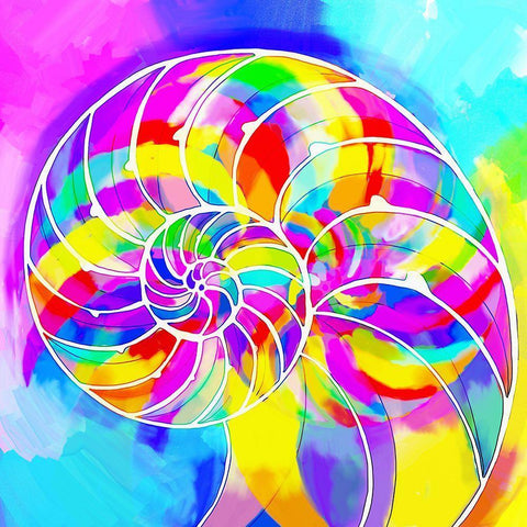 Nautilaus Shell White Modern Wood Framed Art Print with Double Matting by Green, Howie