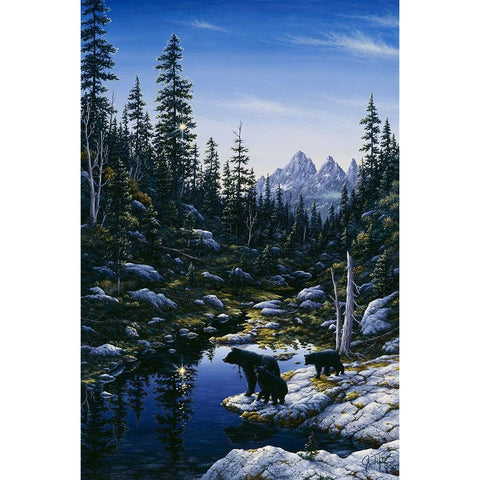 Bear Family Black Modern Wood Framed Art Print with Double Matting by Tift, Jeff