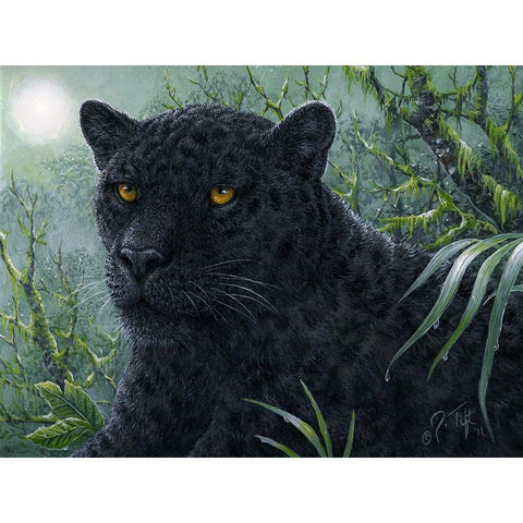 Black Beauty Black Modern Wood Framed Art Print with Double Matting by Tift, Jeff
