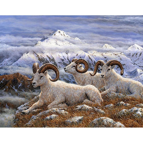Denali Rams White Modern Wood Framed Art Print by Tift, Jeff