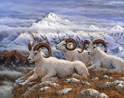 Denali Rams Black Ornate Wood Framed Art Print with Double Matting by Tift, Jeff