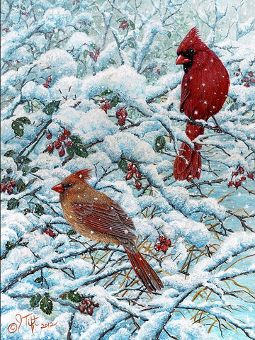 Winter Cardinal Painting White Modern Wood Framed Art Print with Double Matting by Tift, Jeff