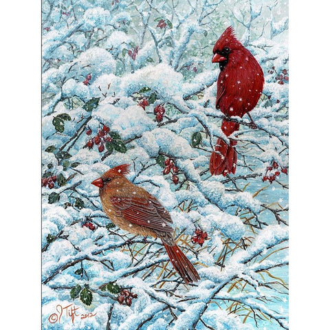 Winter Cardinal Painting Black Modern Wood Framed Art Print by Tift, Jeff