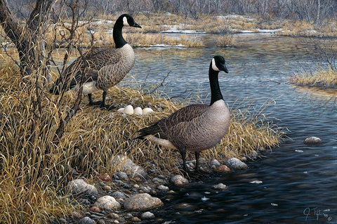 Canadian Pair White Modern Wood Framed Art Print with Double Matting by Tift, Jeff