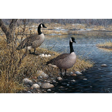 Canadian Pair Black Modern Wood Framed Art Print by Tift, Jeff