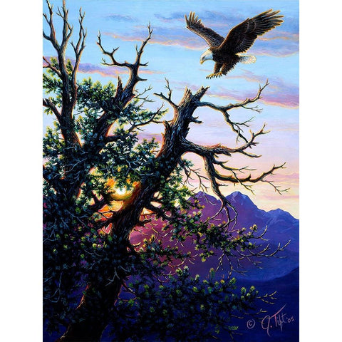 Touchdown PaintingJeff Tift Black Modern Wood Framed Art Print with Double Matting by Tift, Jeff