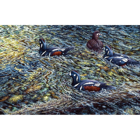 Harlequin Romance White Modern Wood Framed Art Print by Tift, Jeff