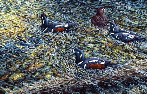 Harlequin Romance Black Ornate Wood Framed Art Print with Double Matting by Tift, Jeff