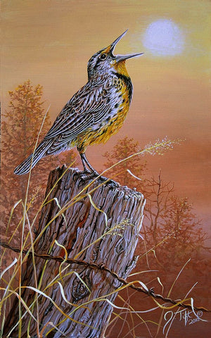 Meadowlark Painting White Modern Wood Framed Art Print with Double Matting by Tift, Jeff