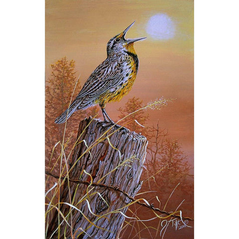 Meadowlark Painting White Modern Wood Framed Art Print by Tift, Jeff