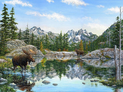 Moose Painting 2 White Modern Wood Framed Art Print with Double Matting by Tift, Jeff