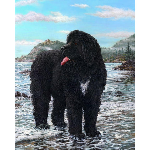 SEAMAN White Modern Wood Framed Art Print by Tift, Jeff