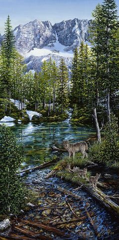 Wilderness Family White Modern Wood Framed Art Print with Double Matting by Tift, Jeff