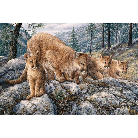 Cat Family White Modern Wood Framed Art Print by Tift, Jeff