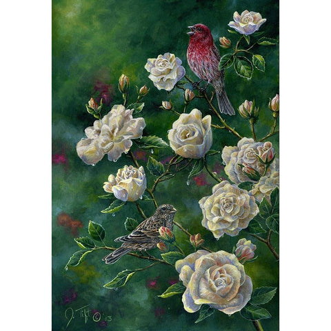 Purple Finch Black Modern Wood Framed Art Print with Double Matting by Tift, Jeff