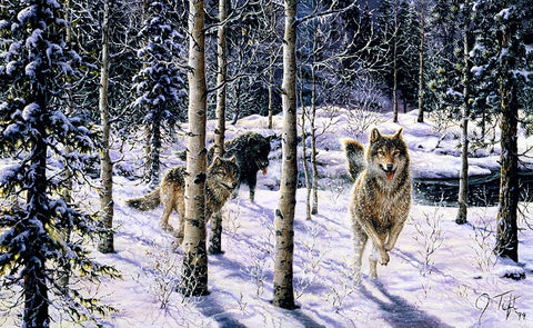Pursuit White Modern Wood Framed Art Print with Double Matting by Tift, Jeff