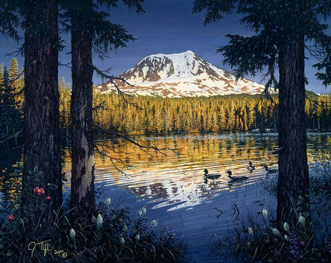 Mt Adams White Modern Wood Framed Art Print with Double Matting by Tift, Jeff