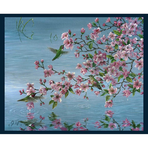 Broad Tailed Hummer Black Modern Wood Framed Art Print by Tift, Jeff