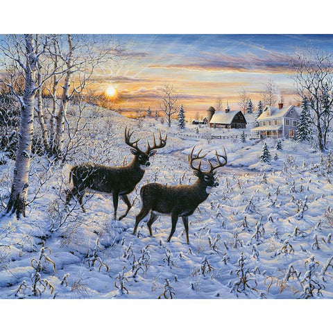 Two Deer In The Moonlight White Modern Wood Framed Art Print by Tift, Jeff