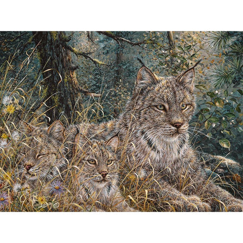 A Quiet Moment Black Modern Wood Framed Art Print by Tift, Jeff