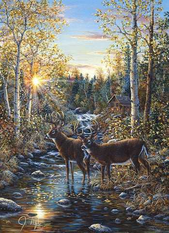 Whitetail Deer White Modern Wood Framed Art Print with Double Matting by Tift, Jeff